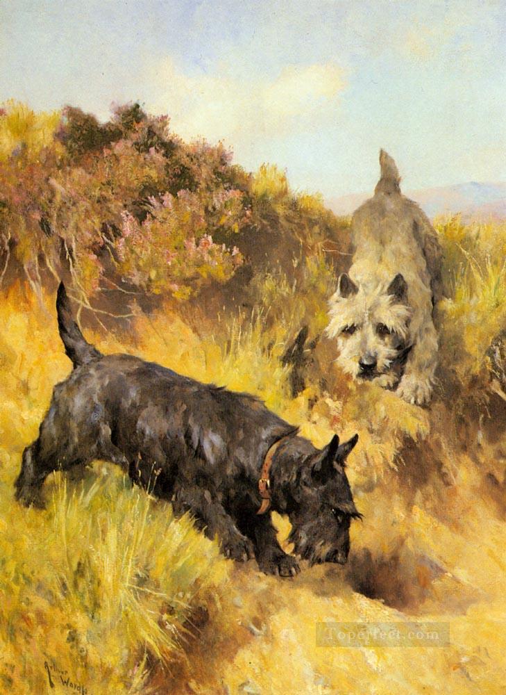 Two Scotties In A Landscape animal Arthur Wardle dog Oil Paintings